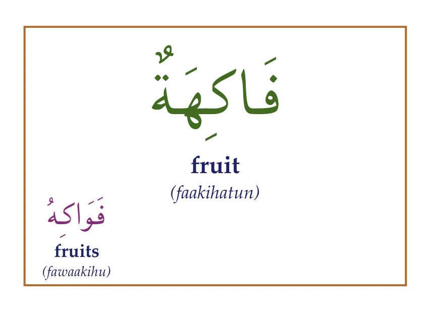 Gateway to Arabic Flashcards Set 3