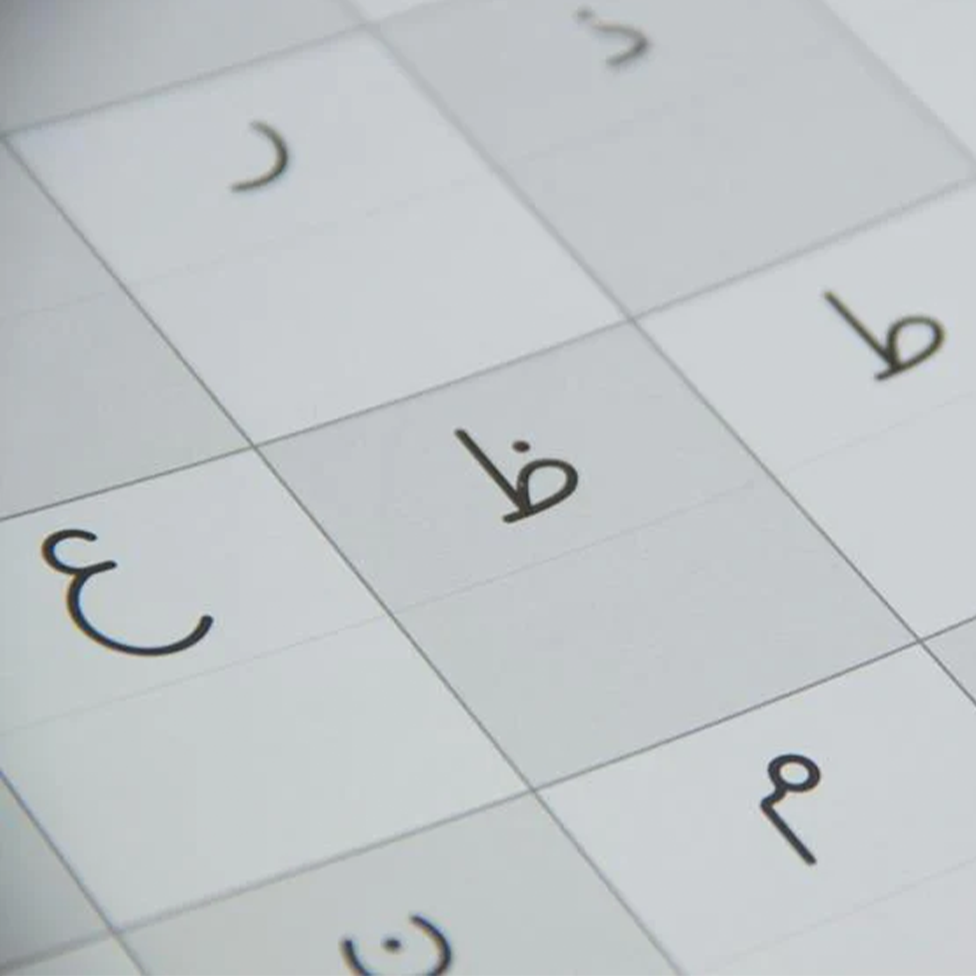 Scribe
